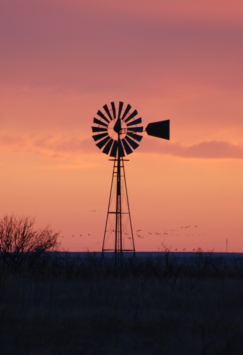 A windmill on the prairie at sunset