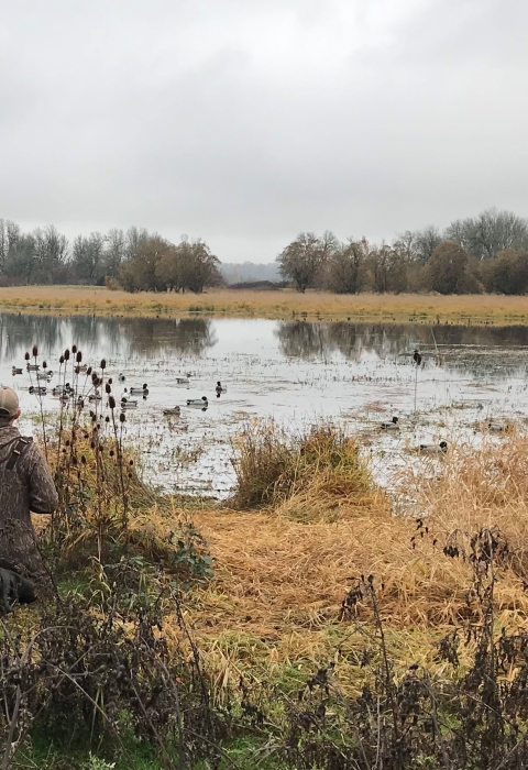 Two duck hunters next to a blind, with water in the distance, at Ridgefield National Wildlife Refuge
