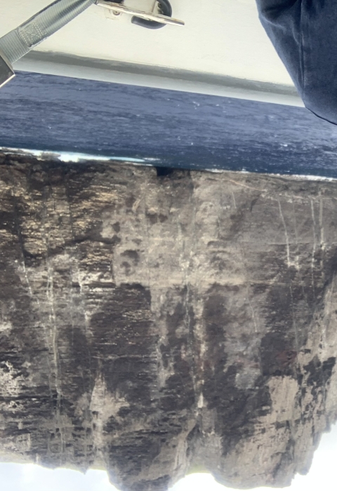 Jiny Kim, wearing a navy blue shirt, stands on a boat with Nihoa in the background.