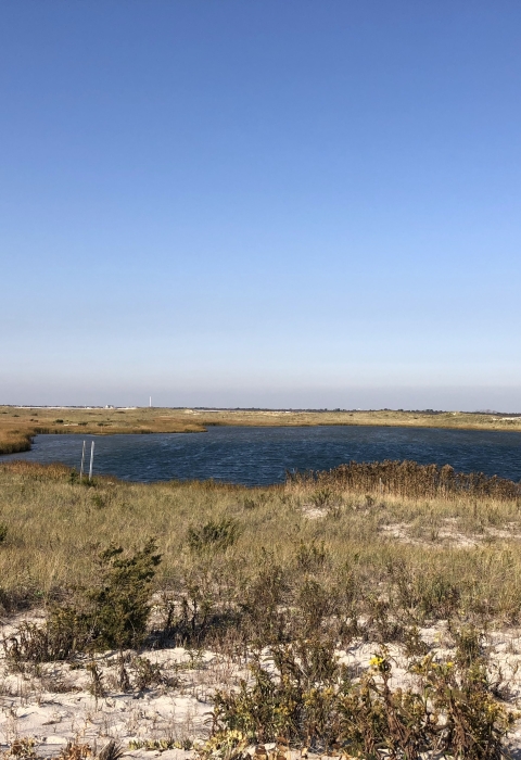 A cloudless blue sky over a dune landscape. A water filled inlet takes up space to the right. There is much vegetation on the dunes. 