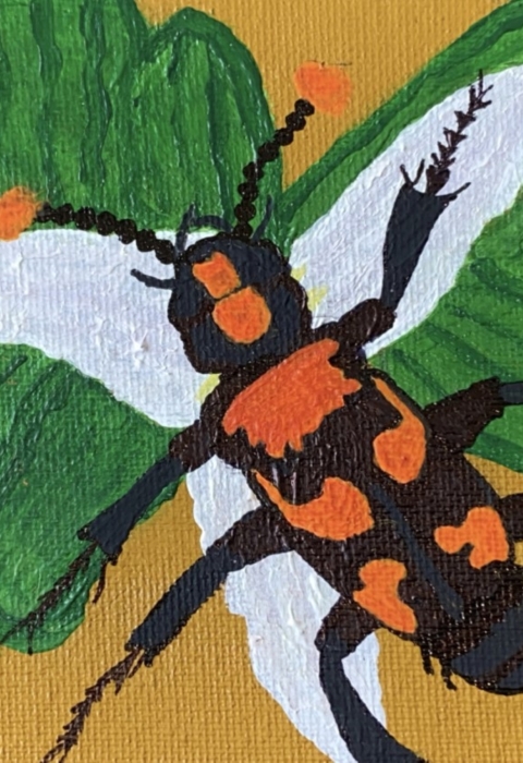 Painting of an American burying beetle and flowering Texas trillium.