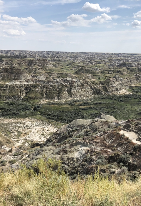 View of Canada Badlands 