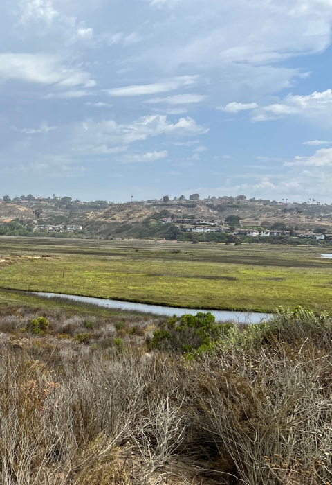 landscape of green wetlands with houses on hills in background