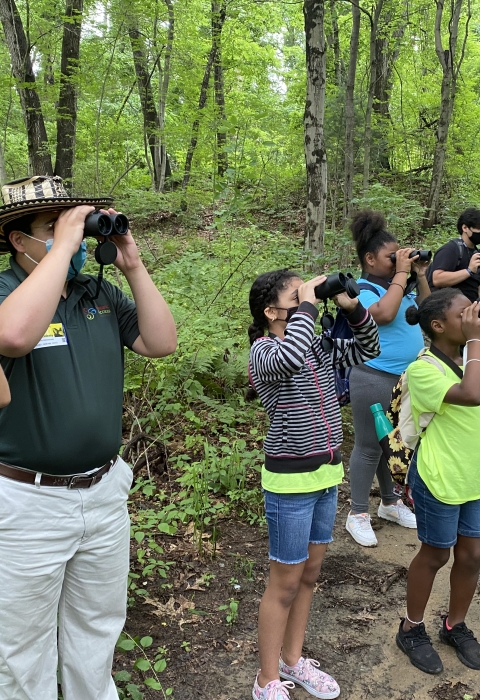 a group of adults and children bird watching with binoculars in a vibrant green forest
