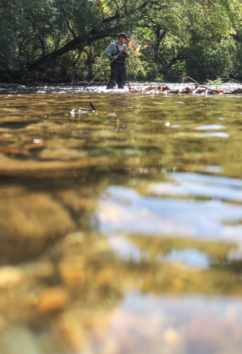 Person standing in a river, holding a small net up their face