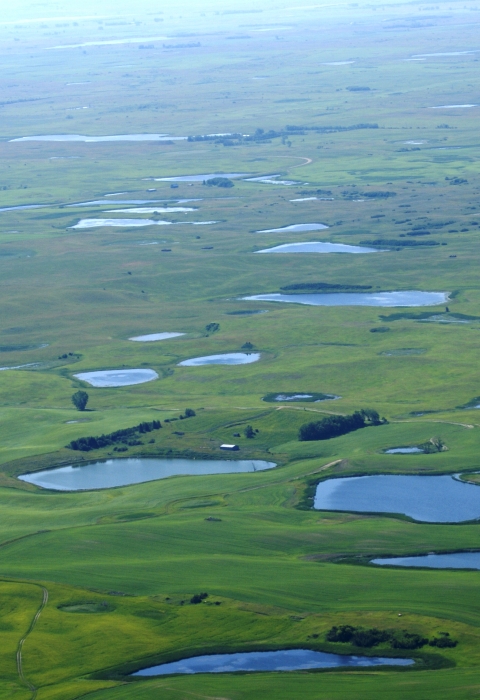 prairie potholes