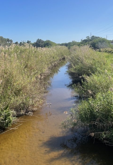 South Florida Canal, Vero Beach FL