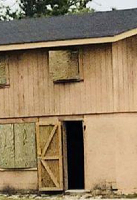 Combat town at Camp Lejeune with a pine tree that is home to a red-cockaded woodpecker cluster. 