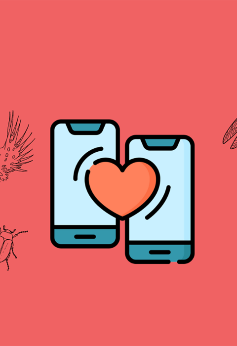 two iphones connected with a heart and wildlife on either side