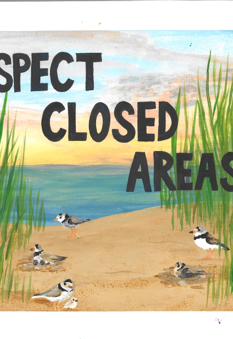 Image of shorebird sign
