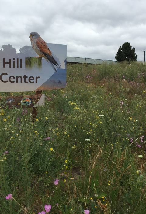 Ankeny Hill Nature Center sign in the foreground, the nature center in the background, in a meadow.