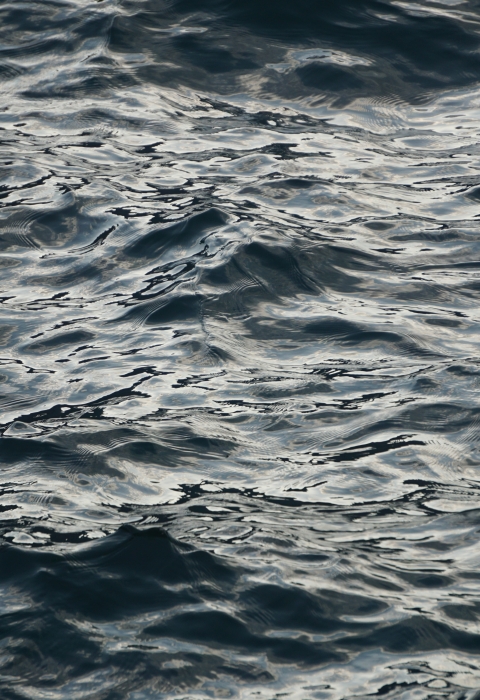 Sunlight reflecting on waves of dark water