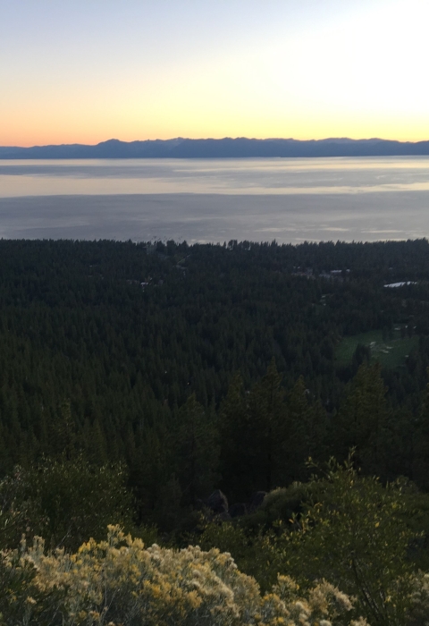 A large glossy lake at sunset surrounded by forest and yellow flowers