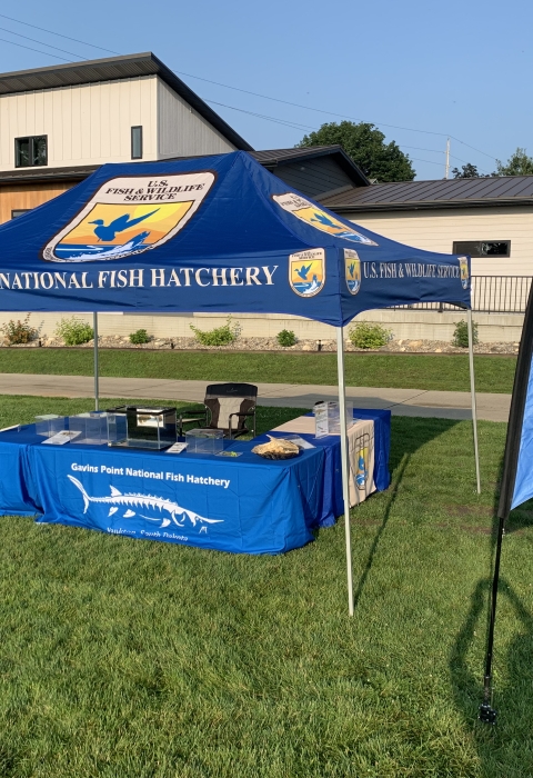 Pop up canopy shelter with several Fish and Wildlife Service logos.