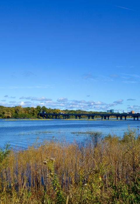 A blue lake on a clear, sunny day surrounded by yellowing vegetation.