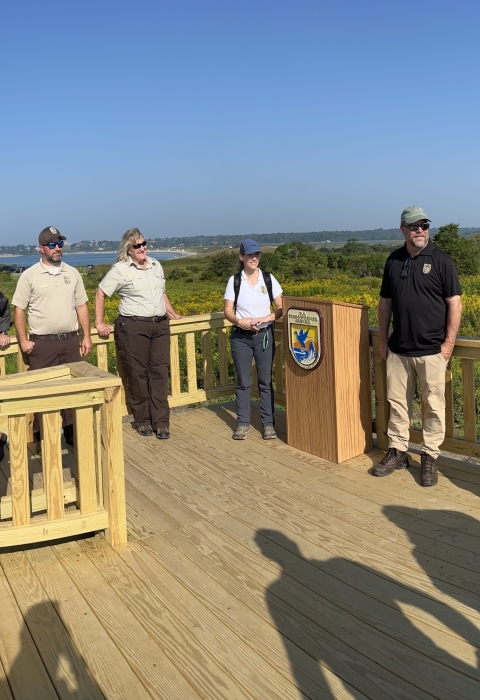 People stand in a circle on a wooden platform raised above green vegetation, with blue sky in the background.