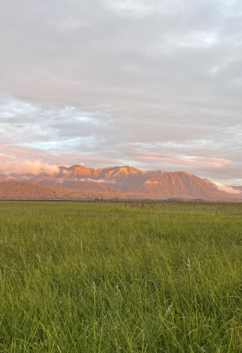 mountains and prairie
