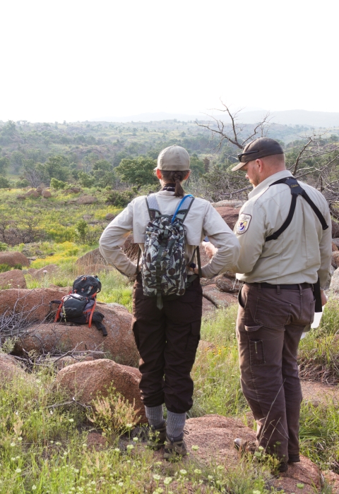 Two people look out over a rocky fields of flowers with trees in the background.