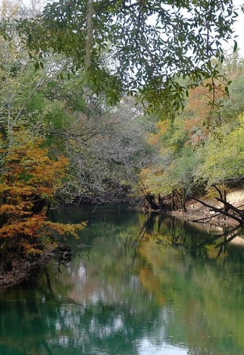 Chipola River
