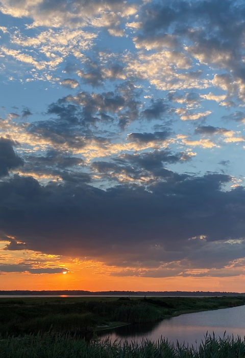 a cloudy sky with a vibrant orange sunset over a vast marsh