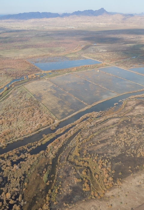 View from a plane of a patchwork of wetlands in a desert landscape.