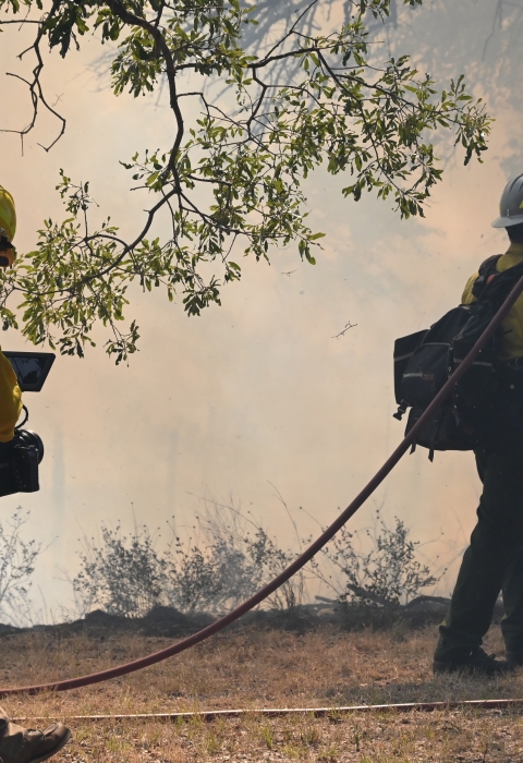 A cameraman follows a firefighter who is walking toward small flames and a smoky forested landscape. The firefighter has a hose slung over his shoulder and is dragging the rest on the ground.