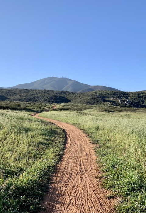 Dirt trail surrounded on each side by short grasses with hills and a mountain in the background.