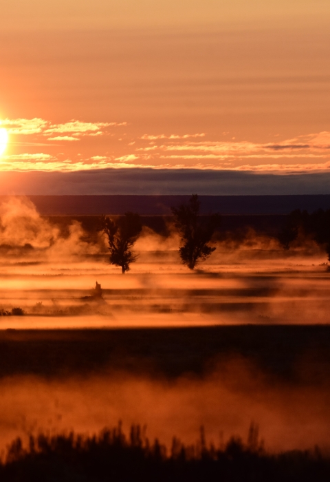 Winter sunrise over Seedskadee National Wildlife Refuge