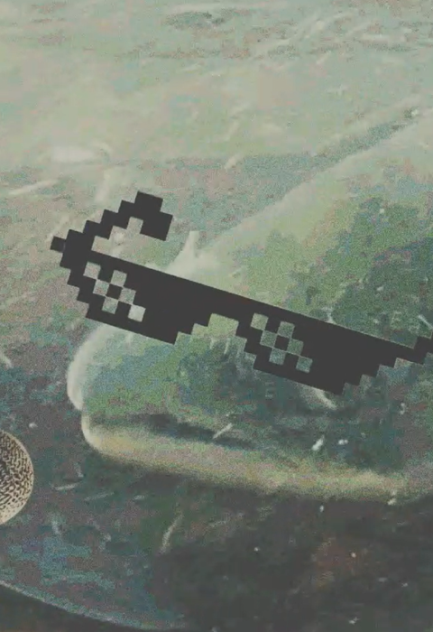 A salmon photoshopped to appear to be wearing glasses and singing into a microphone