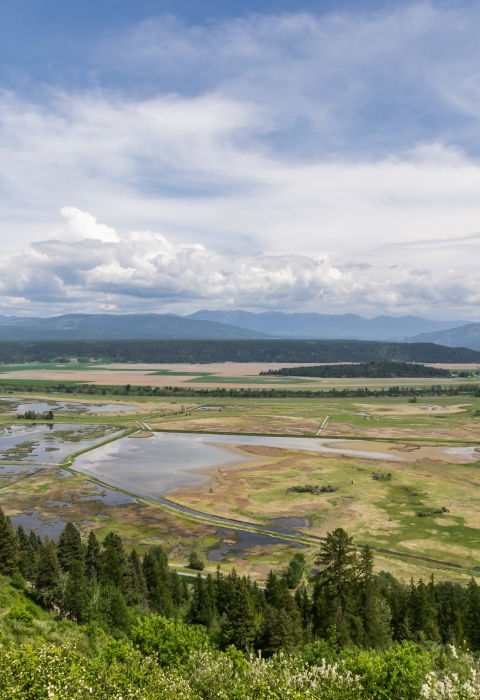 A panoramic view of the many wetlands at Kootenai NWR