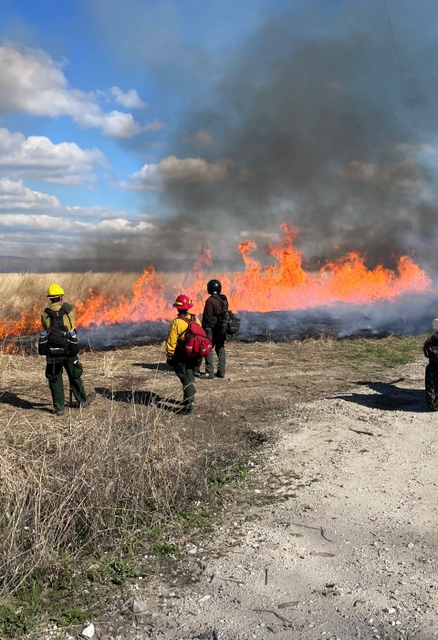 A large fire burns through a grassland as four people in safety gear stand watching.