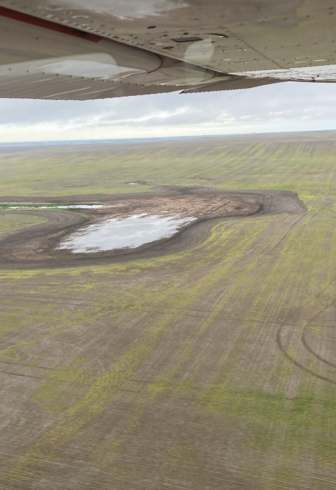 aerial view of wetlands on the landscape
