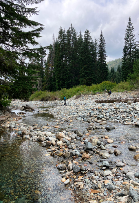 A scenic view of a creek with rocks and large, evergreen trees. There are two people working in the distance.