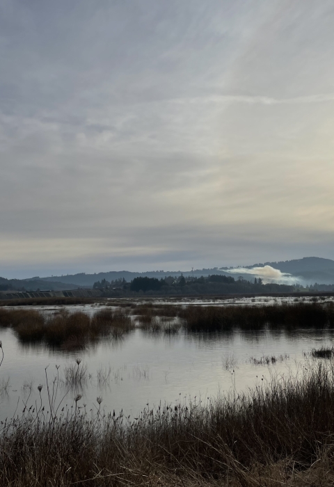 Wapato Lake filled with water at Wapato Lake National Wildlife Refuge