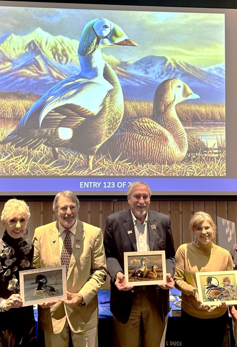 Judges at the 2024 Federal Duck Stamp Art Contest hold the winning artwork.