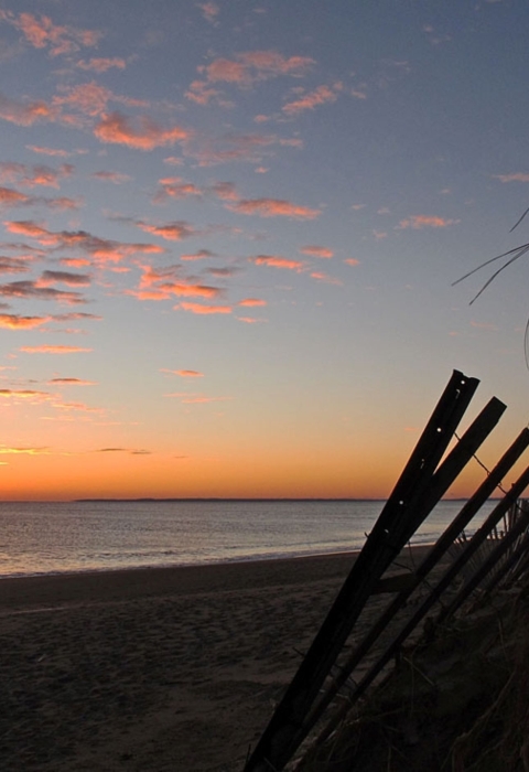 Image of beach horizon at Parker River NWR