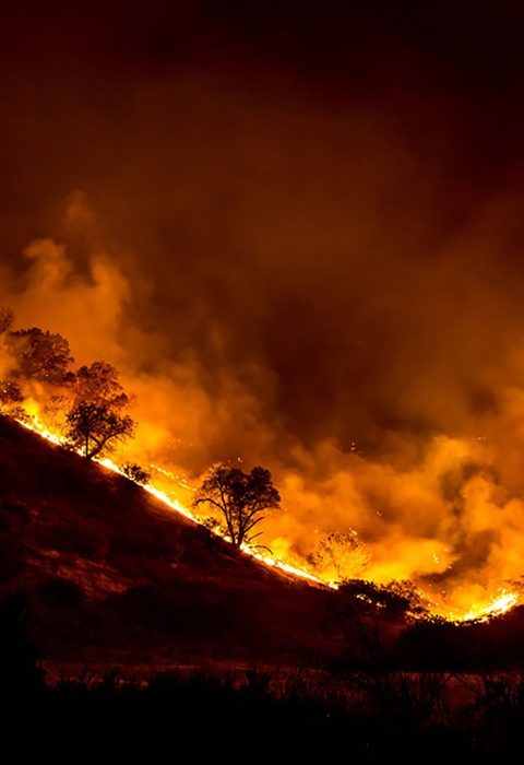 A fire burning across a forest landscape