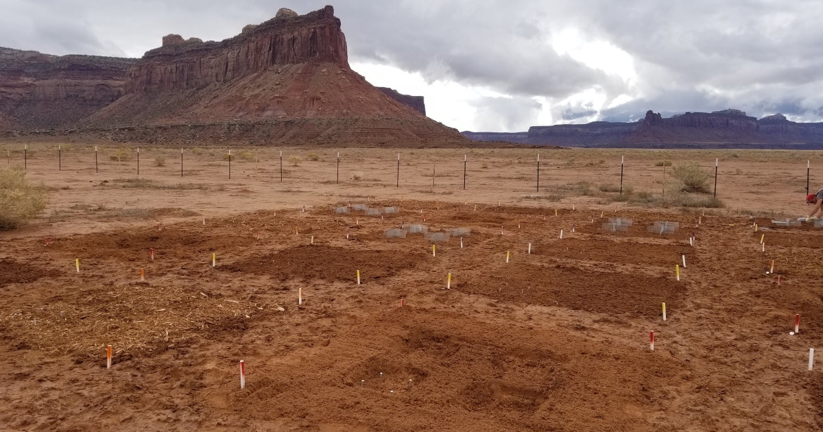 RestoreNet: Collaboration to Improve Success of Seed-Based Restoration ...