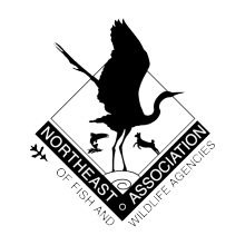 Northeast Association of Fish and Wildlife Agencies Logo Northeast Association of Fish and Wildlife Agencies Logo