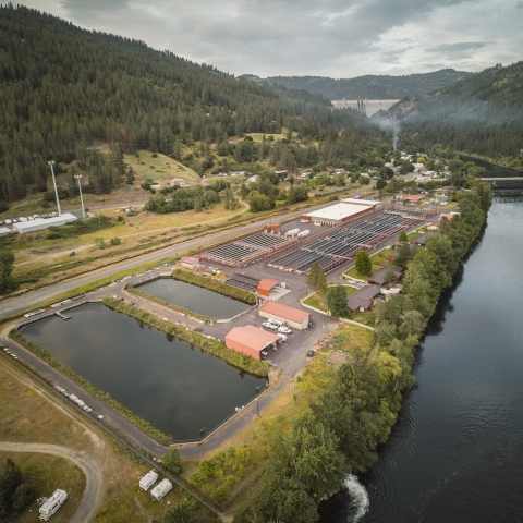 Clearwater Fish Hatchery