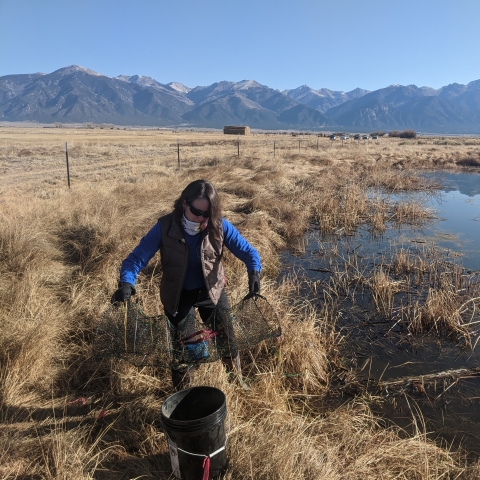 A woman holding a net next to a pond in a field of brown grass