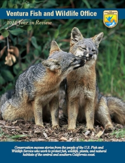 Magazine with two island foxes nuzzling on cover