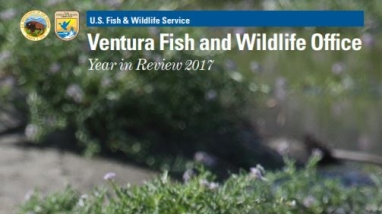 Magazine with small bird (western snowy plover) in sand on cover
