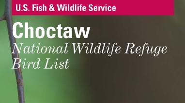 An image of the cover for the bird brochure.