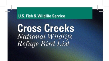 An image of the cover for the bird brochure.