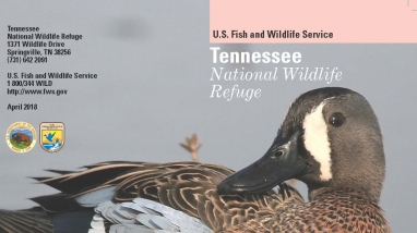 An image of the cover for the refuge brochure.