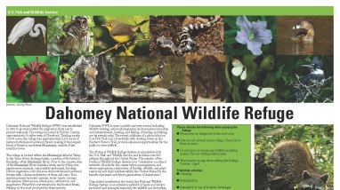 An image of the refuge tear sheet.