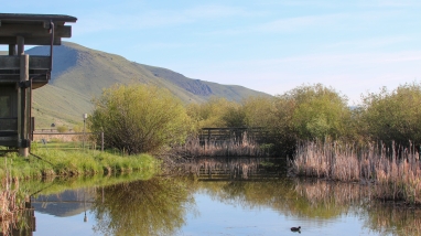 An overlook with a pond.