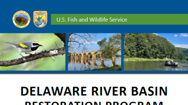 image of the front cover of a report, featuring various photos of people paddling and fishing on a river and of wildlife, including a turtle, bumblebee, and warbler