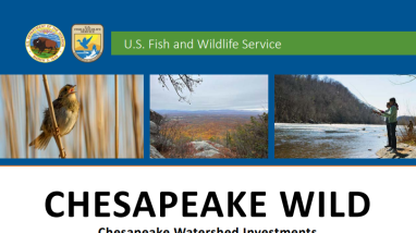 an image showing the cover page of a report titled Chesapeake WILD Year in Review